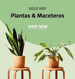 Productos